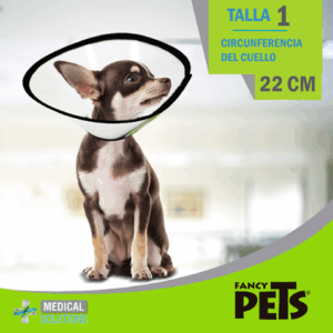 MS COLLAR ISABELINO TALLA 1 (22 CM)