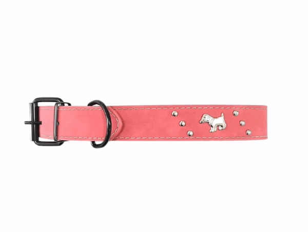 COLLAR PIEL MASCOTA - Image 3