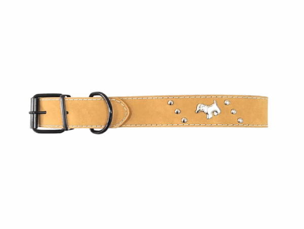 COLLAR PIEL MASCOTA - Image 4