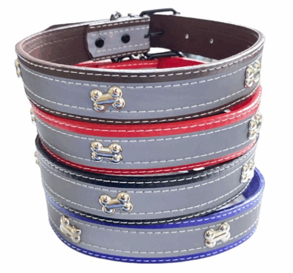 COLLAR PIEL REFLEJANTE M