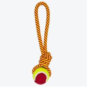 JUGUETE JALADERA C/PELOTA