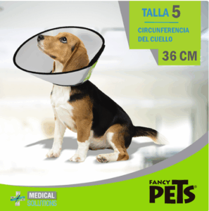 MS COLLAR ISABELINO TALLA 5 (36 CM)