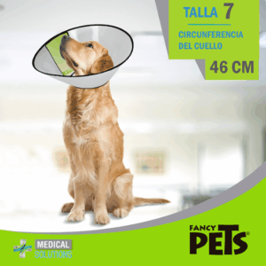 MS COLLAR ISABELINO TALLA 7 (46 CM)