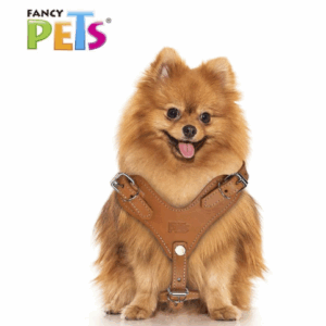 PECHERA DE PIEL CAFE XTREME TALLA 4