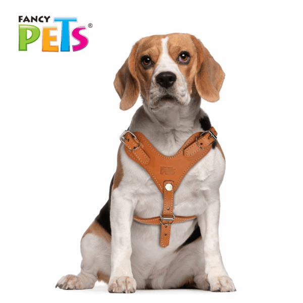 PECHERA DE PIEL CAFE XTREME TALLA 5 - Image 2