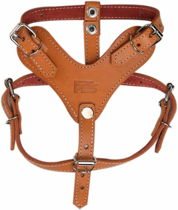 PECHERA DE PIEL CAFE XTREME TALLA 3 - Image 2