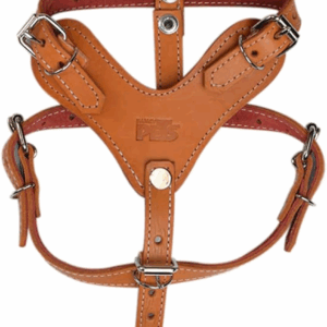 PECHERA DE PIEL CAFE XTREME TALLA 5