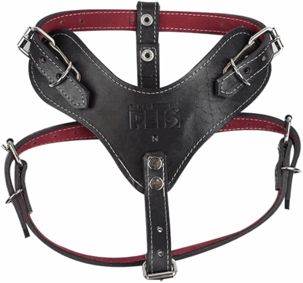 PECHERA DE PIEL NEGRA XTREME TALLA 5 - Image 2