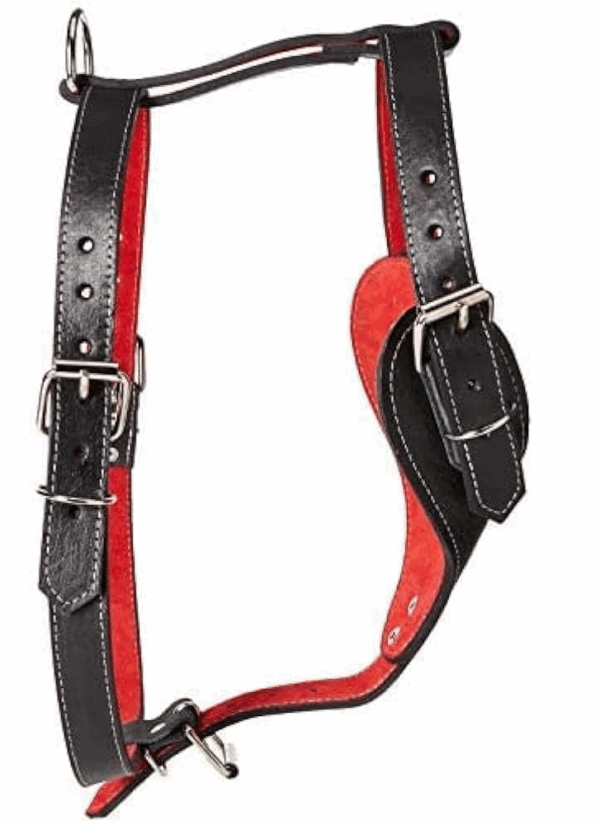 PECHERA DE PIEL NEGRA XTREME TALLA 2 - Image 3