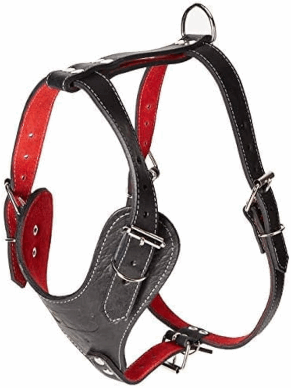 PECHERA DE PIEL NEGRA XTREME TALLA 2 - Image 4