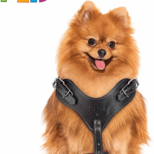 PECHERA DE PIEL NEGRA XTREME TALLA 4