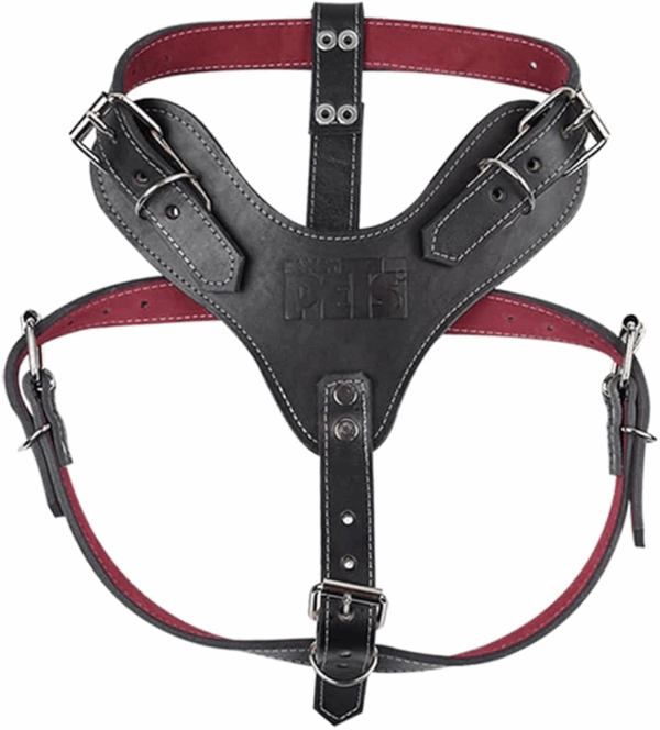 PECHERA DE PIEL NEGRA XTREME TALLA 6 - Image 2