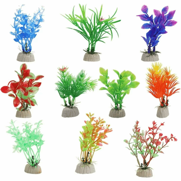 PLANTAS INDIVIDUALES COLORES - Image 2