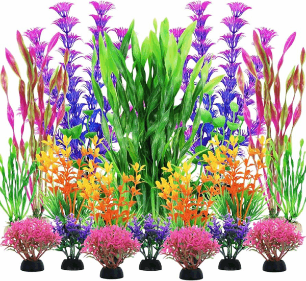 PLANTAS INDIVIDUALES COLORES - Image 3