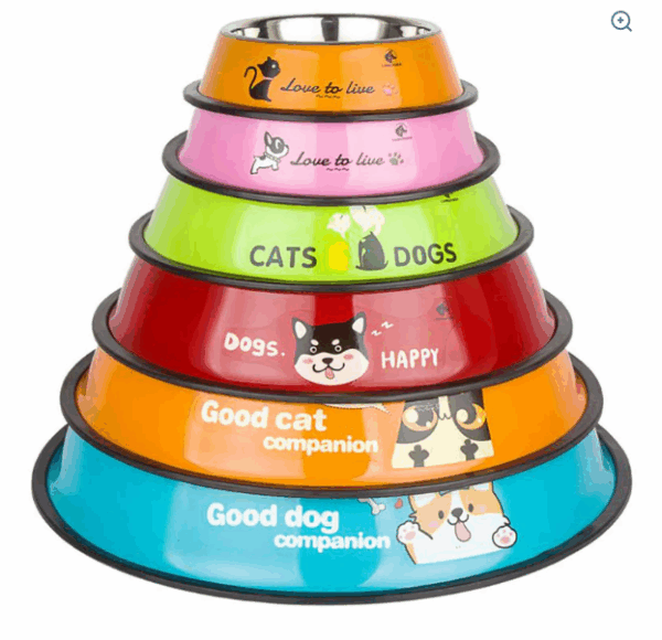 PLATO ANTIDERRAPANTE CON DISEÑOS DE MASCOTAS
