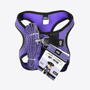 SET ARNES Y CORREA SPORTIE MED VIOLETA
